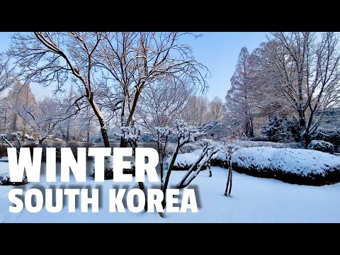 [4K] Winter in Korea 2022 | Seoul Walking Tour on a blanket of Snow | #snow #seoul