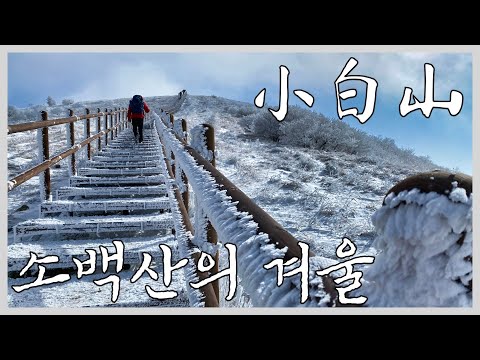 Mt. Sobaek in Winter, S.Korea | Hiking | Mountains | Trekking