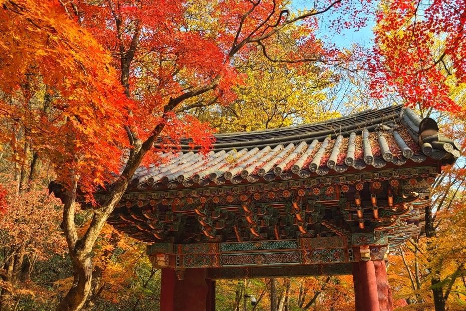 In My Korea | Korean Travel Blog & Guide To Korea