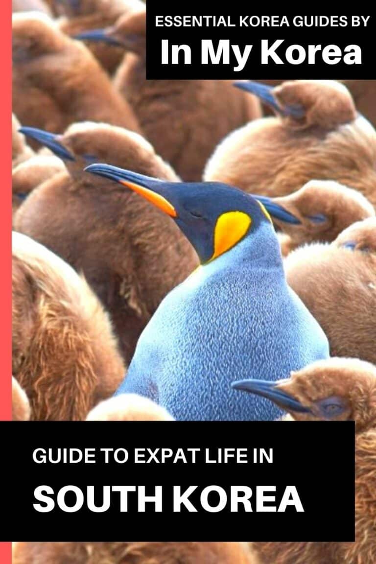 Expat Life In Korea: A Guide To Living In Korea As An Expat
