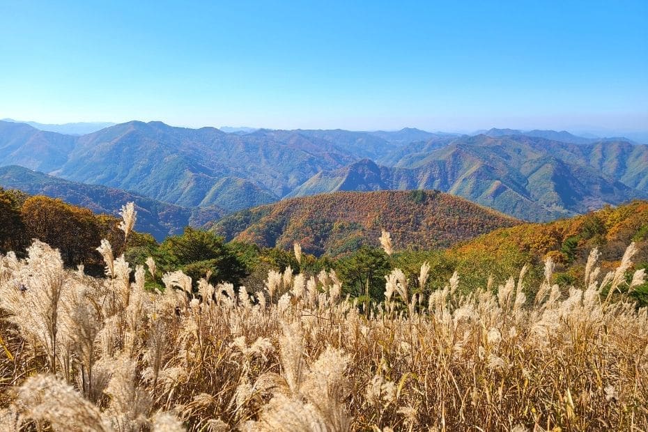 When to go hiking in Korea: Korean Hiking Season Guide