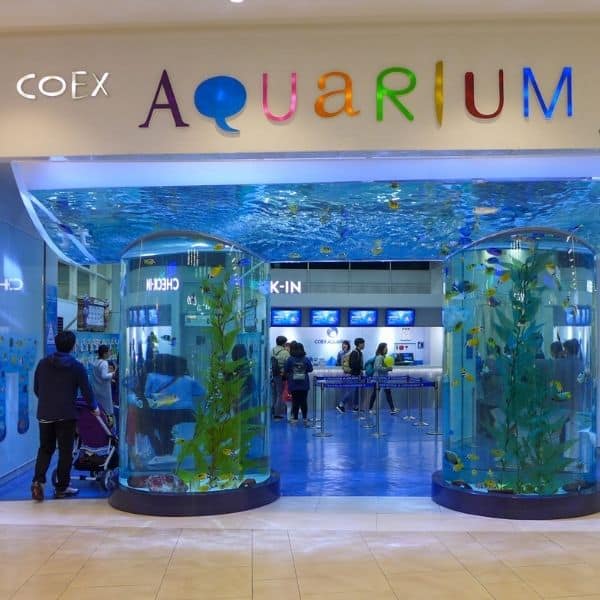 COEX Aquarium in Seoul
