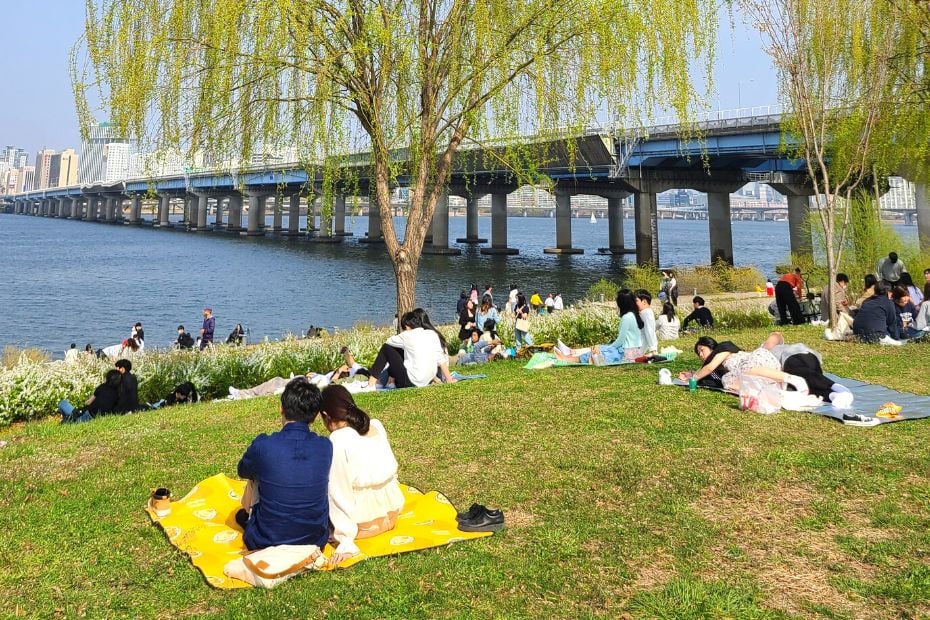 People having a picnic by a river in Seoul