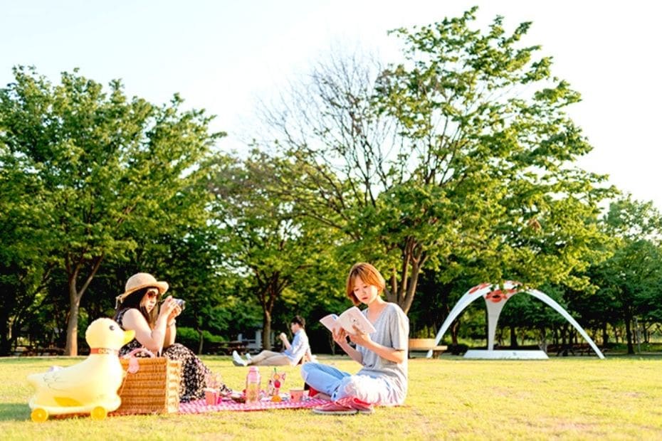 People having a picnic in Seoul during summer