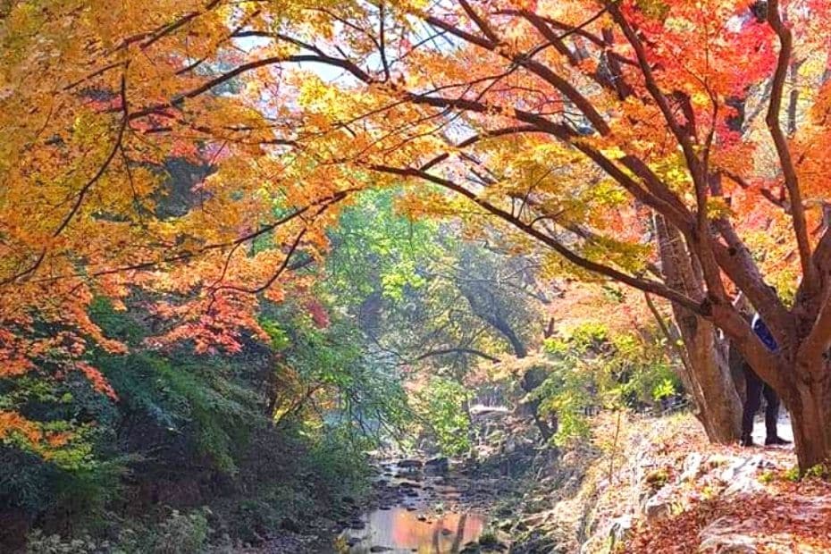 Stream at Gangcheonsan Mountain, Sunchang