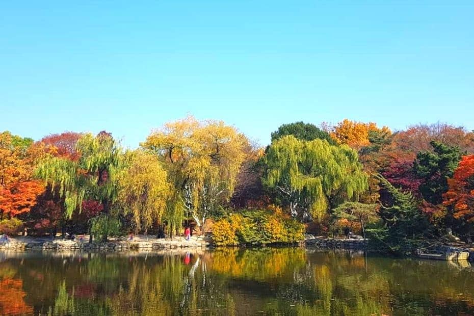 Changgyeonggung Palace Autumn Leaves, Seoul