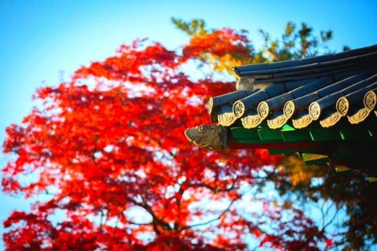 Beautiful Korean Autumn Leaves Pictures Best Foliage 2024