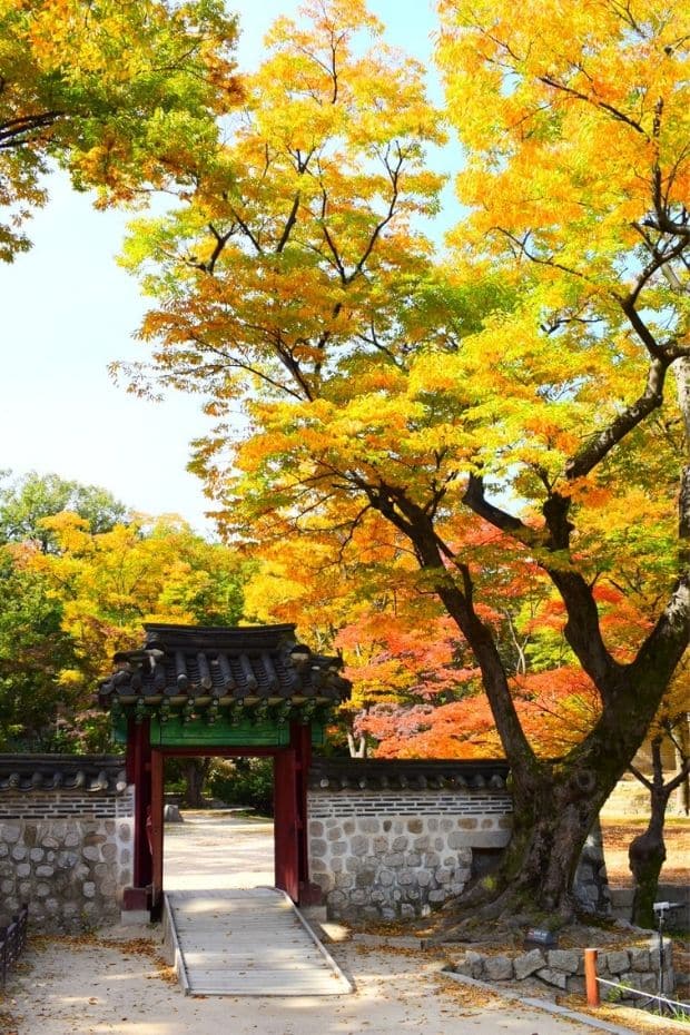 Inside the Secret Garden at Changdeokgung Palace, Seoul