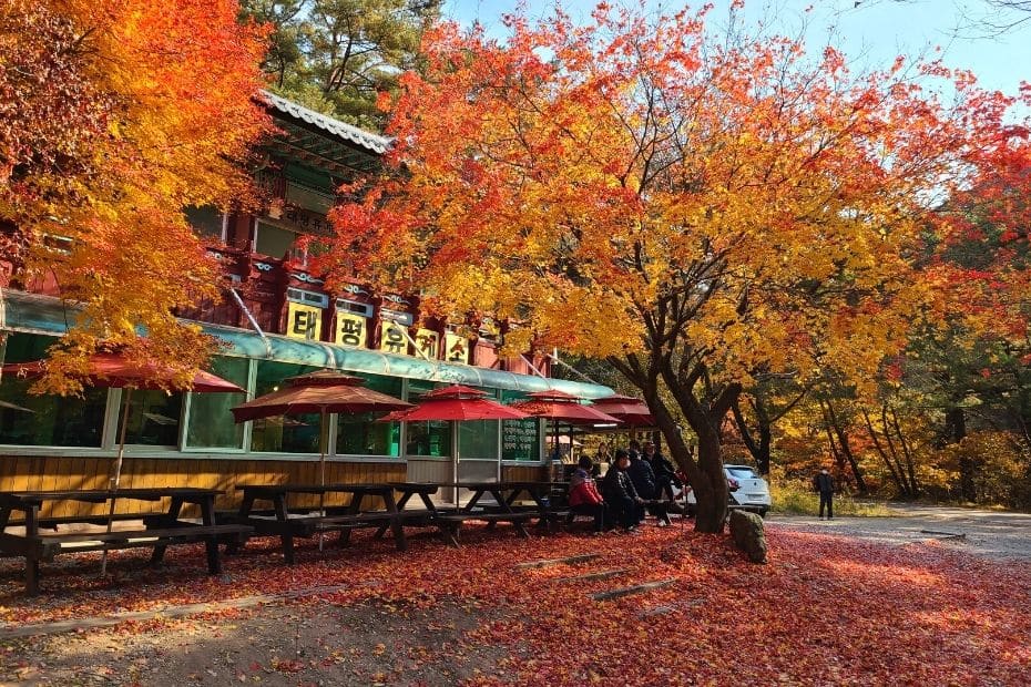 Rest Stop at Songnisan National Park