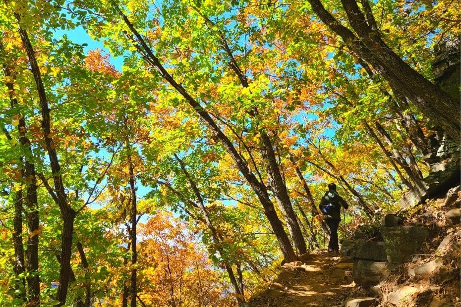 Hiking path at Mindungsan Mountain, Korea