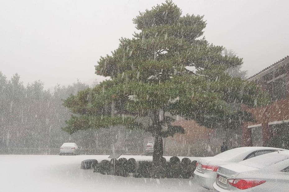 Snowy car park in November in Korea