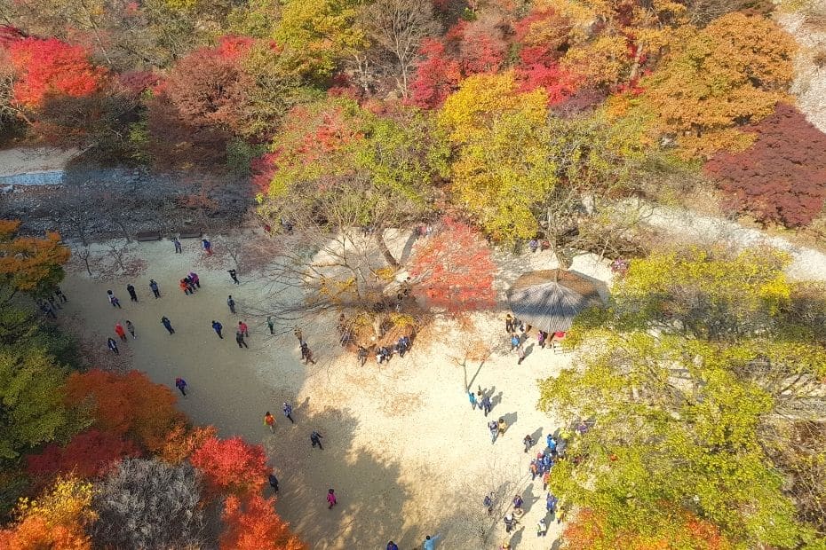 View of the valley from the suspension bridge at Gangcheonsan Mountain, Sunchang