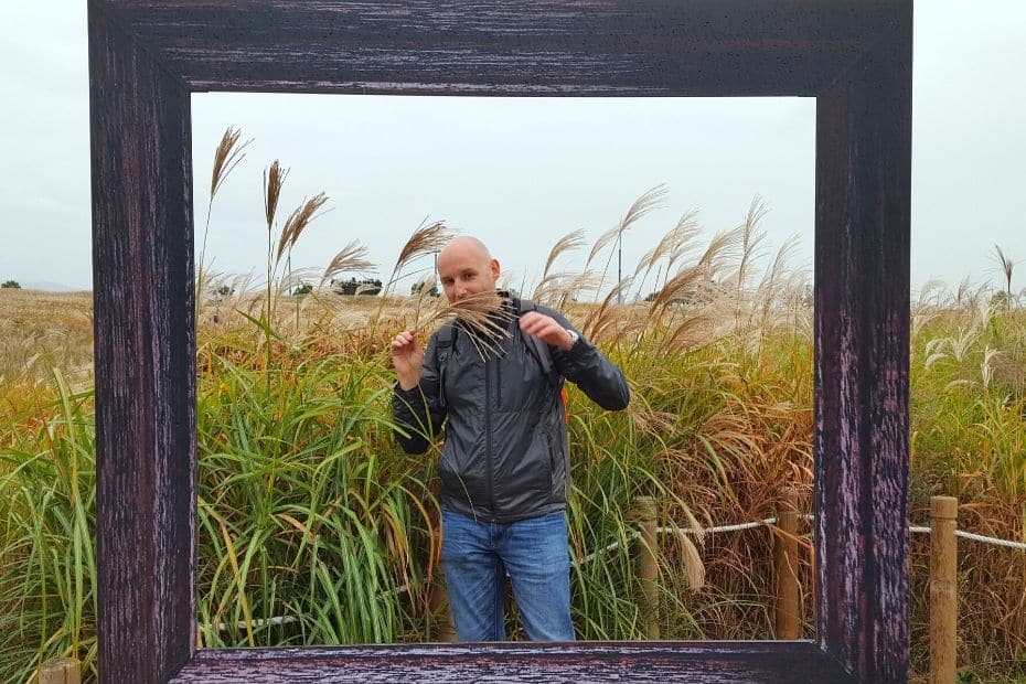 Picture frame and reeds at Haneul Park, Seoul