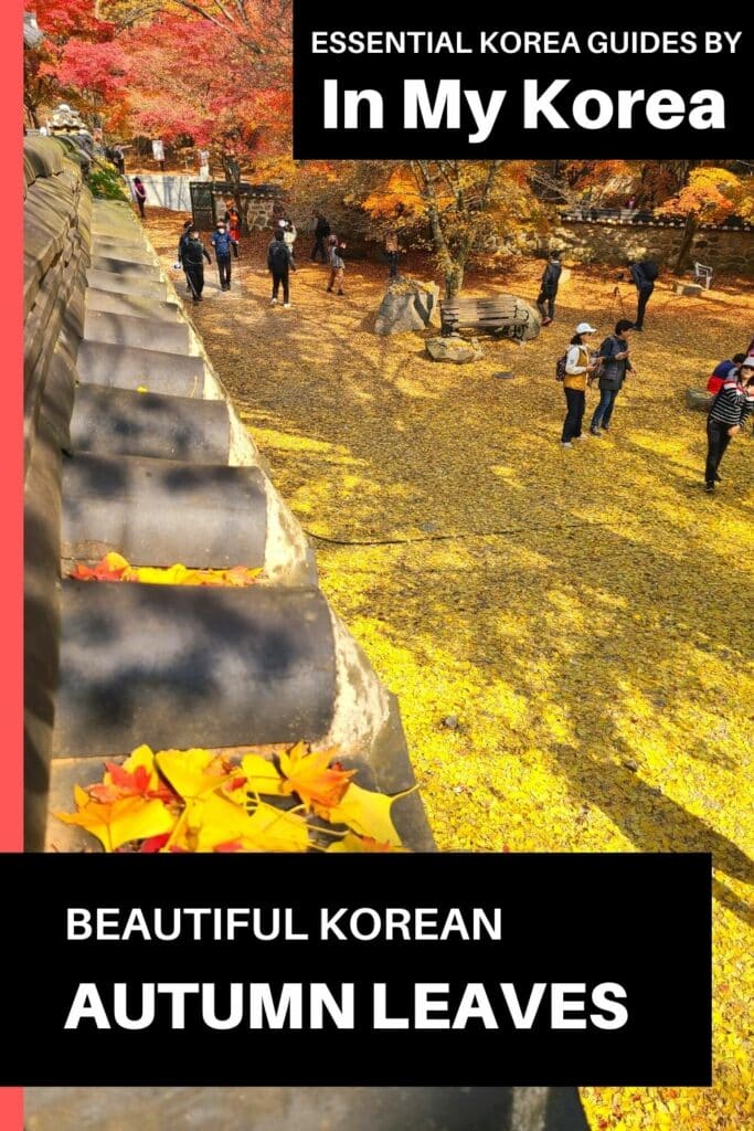 Beautiful Korean Autumn Leaves Pictures: Best Foliage 2025 50 Beautiful Korean autumn leaves pictures Pin 1