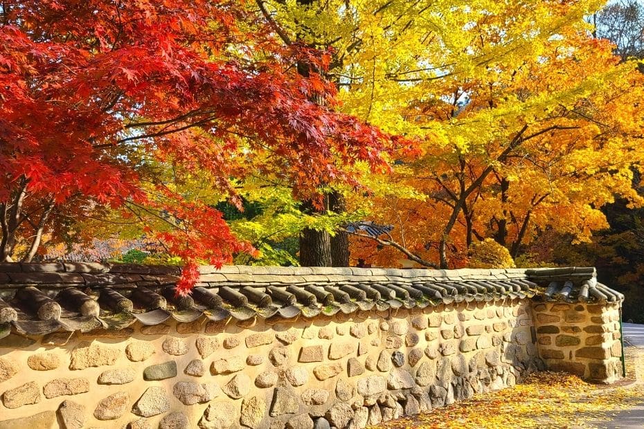Where To See Autumn Leaves In Korea: 20 Fall Foliage Spots