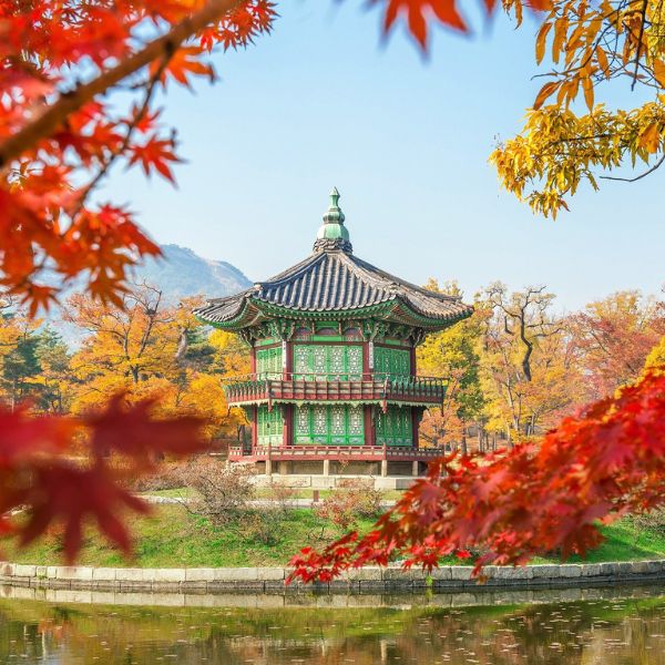 Autumn Foliage At Seouls Royal Palaces
