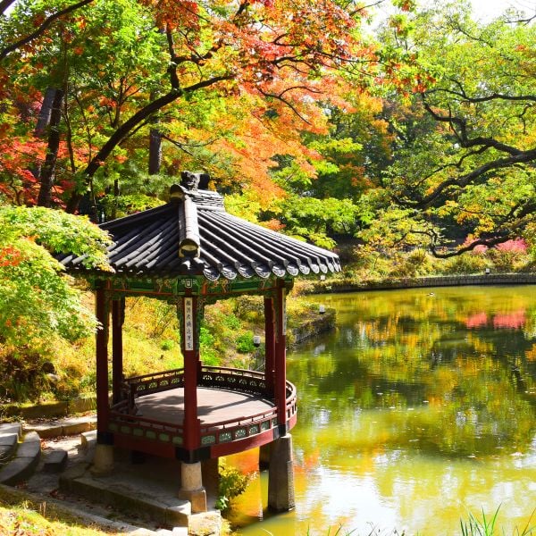 Autumn Foliage At Seouls Secret Garden