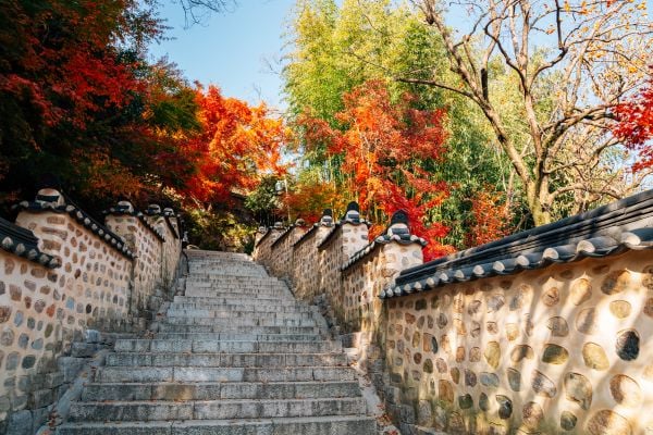 Autumn Leaves in Busan Beomeosa Temple