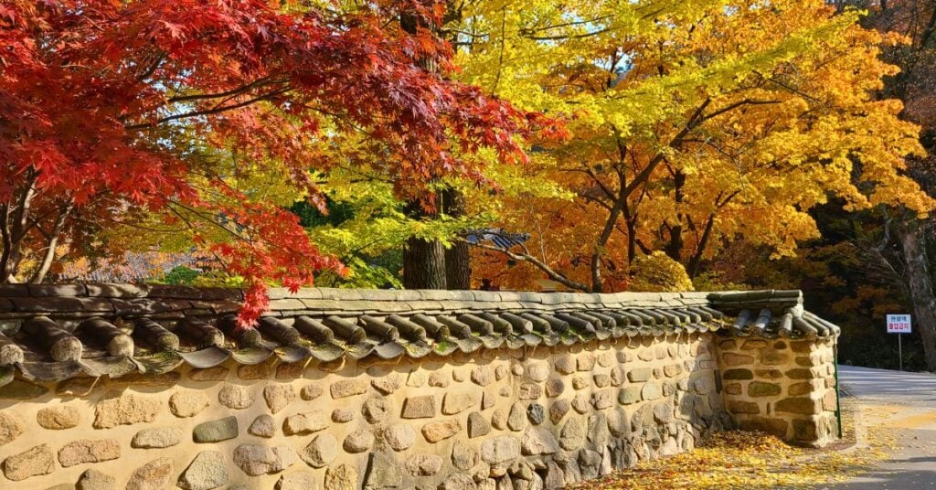 Autumn foliage with temple wall in South Korea