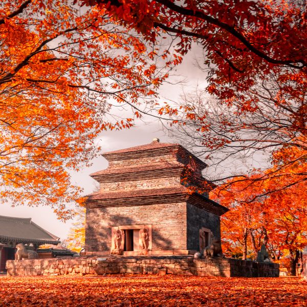 Autumn leaves at Bunhwangsa Temple Gyeongju