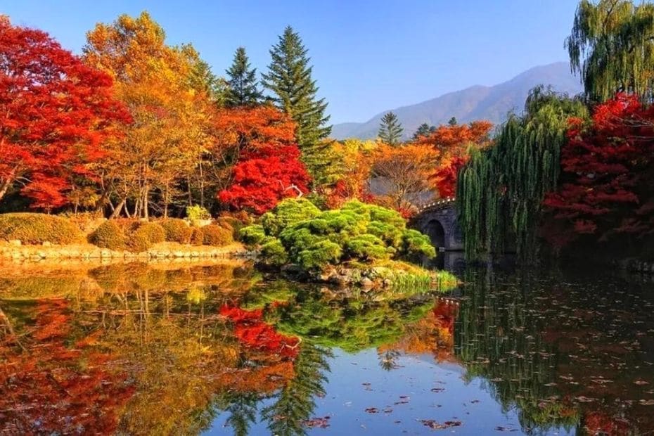 Autumn leaves in Gyeongju, South Korea