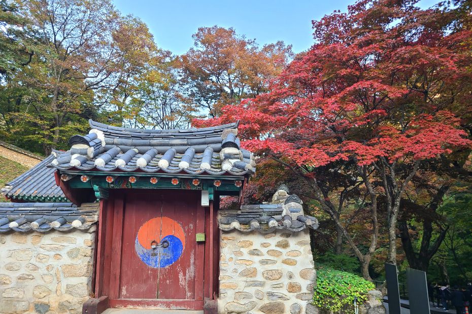 Autumn leaves outside Korean temple door