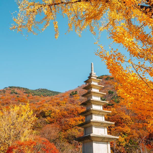 Beomeosa Temple Busan in Autumn