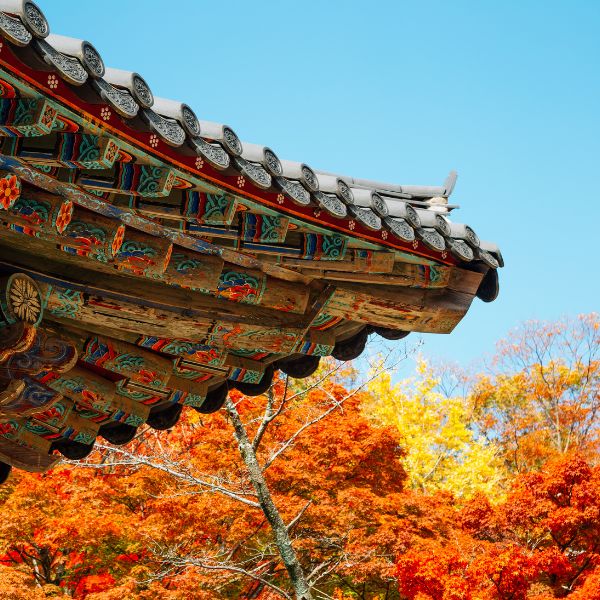Bulguksa Temple Autumn Foliage Gyeongju
