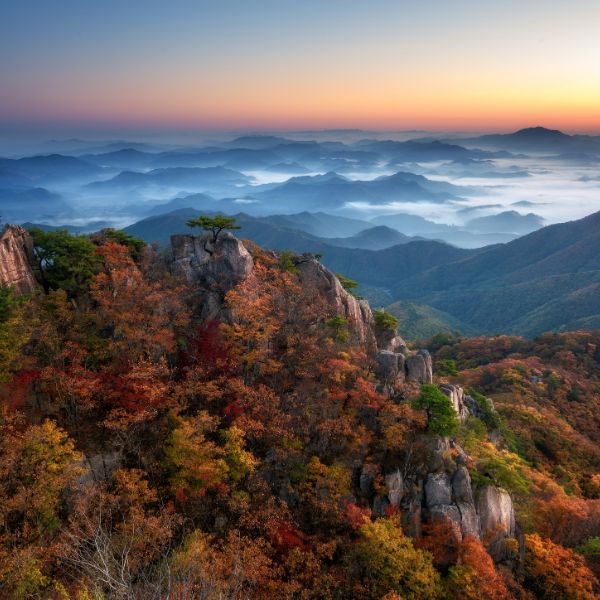 Daedunsan Provincial Park Autumn Foliage Korea