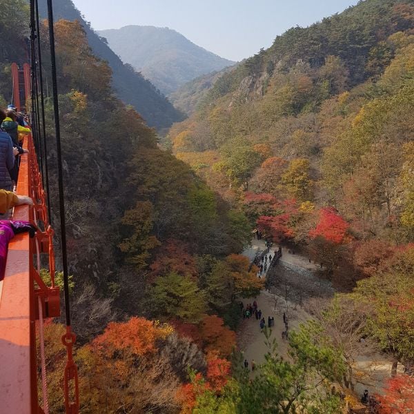 Gangcheonsan County Park Autumn Leaves Korea