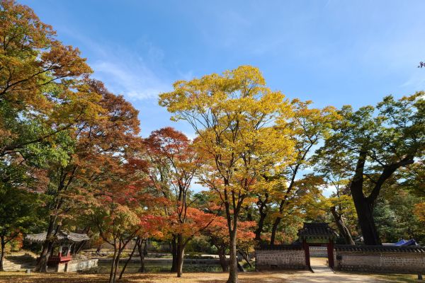 Guide To Visiting Korea In Autumn