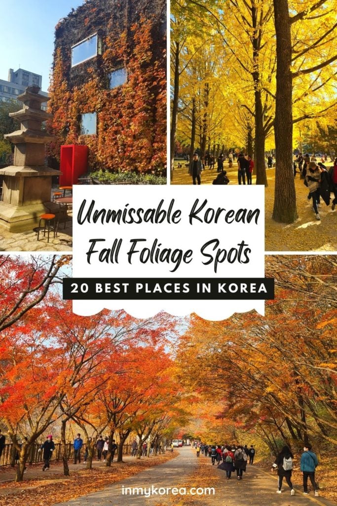 Where To See Autumn Leaves In Korea 2023: Best Fall Foliage