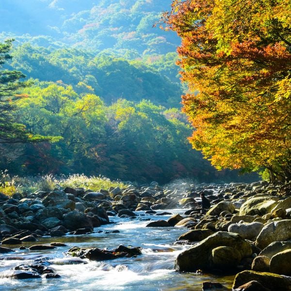 Jirisan National Park in Autumn Korea