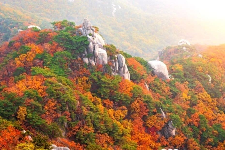 Mountain view of fall foliage at Bukhansan Mountain