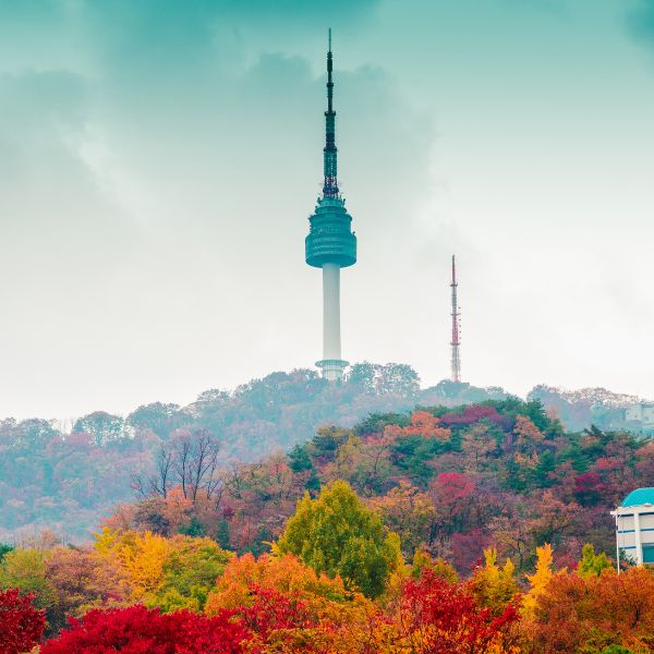 N Seoul Tower With Autumn Foliage Seoul