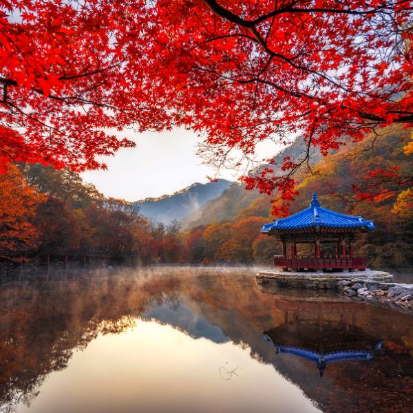 Naejangsan National Park in Autumn Korea
