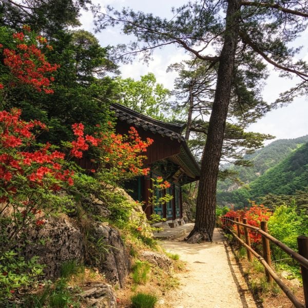 Odaesan National Park in Autumn Korea