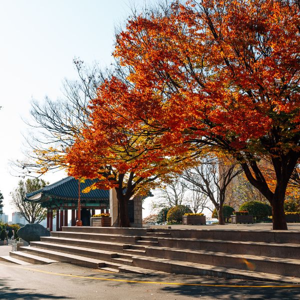 Yongdusan Park Busan in Autumn