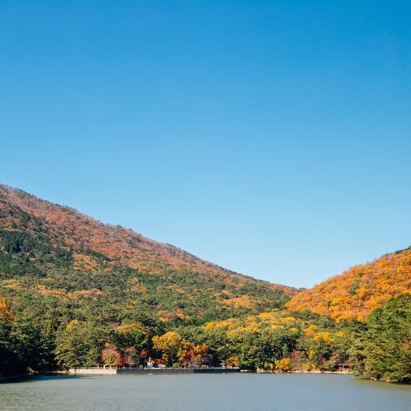 Children's Grand Park Busan in Autumn