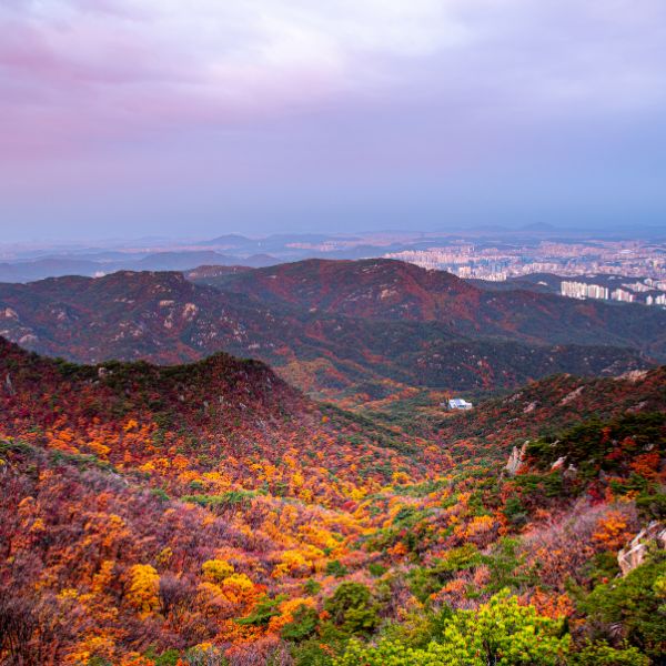 Gwanaksan Autumn Foliage Seoul