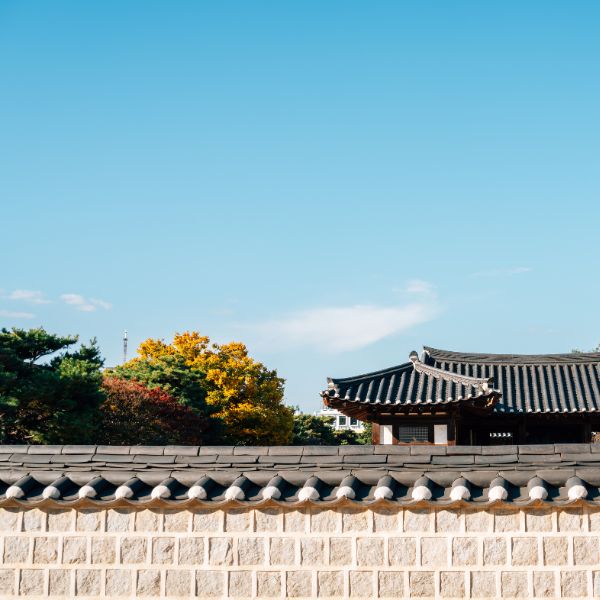 Jeonju Hanok Village Autumn Leaves Jeonju Hanok Village Autumn Leaves