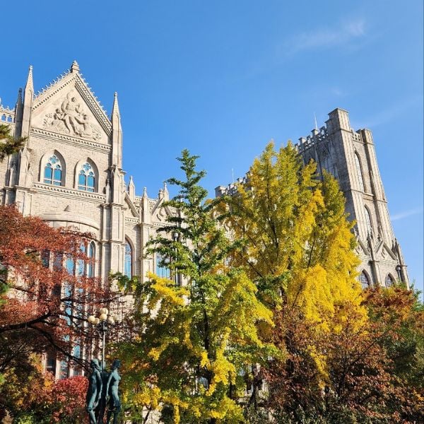 Kyung Hee University With Autumn Foliage Seoul