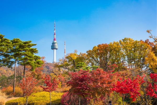 Official Korean Autumn Leaves Forecast Official Korean Autumn Leaves Forecast