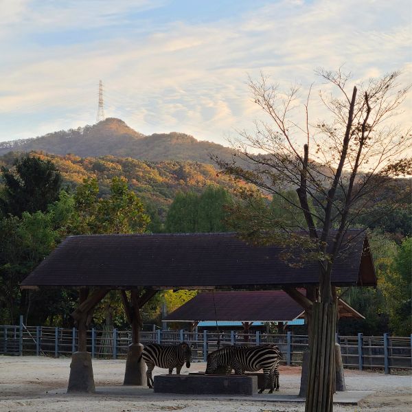 Seoul Grand Park in autumn