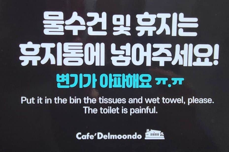 Warning sign about how to use the toilet