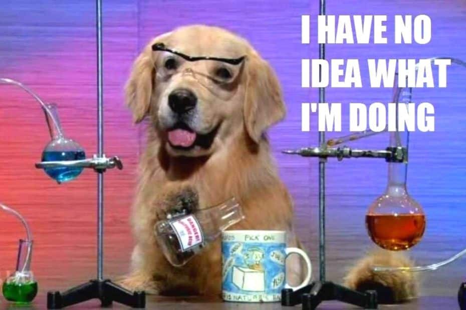 Funny dog meme