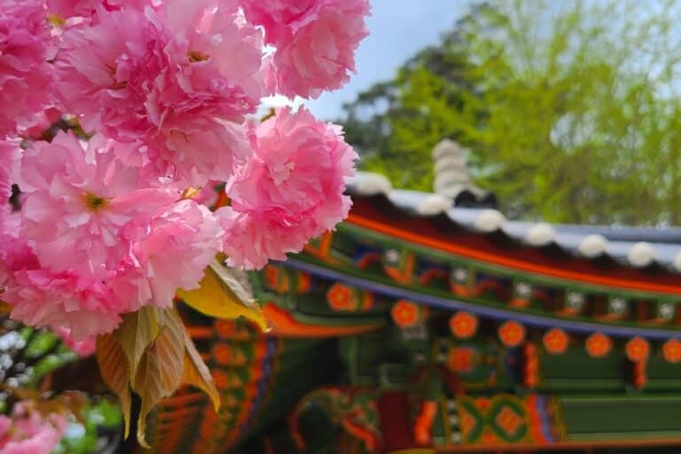 Visiting Korea In October 2023: Foliage | Festivals | Events