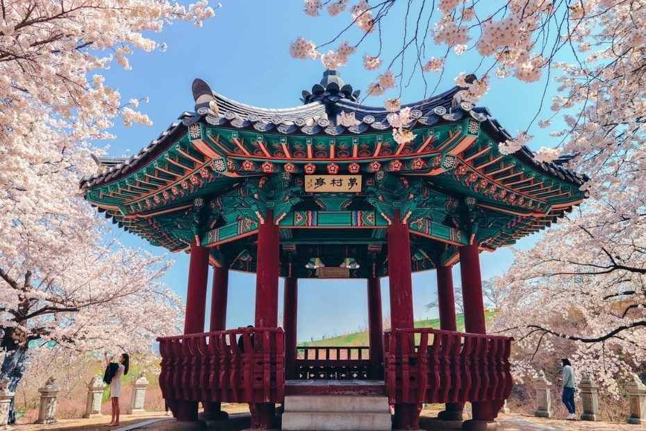 Cherry blossoms at a pagoda in Seoul Korea