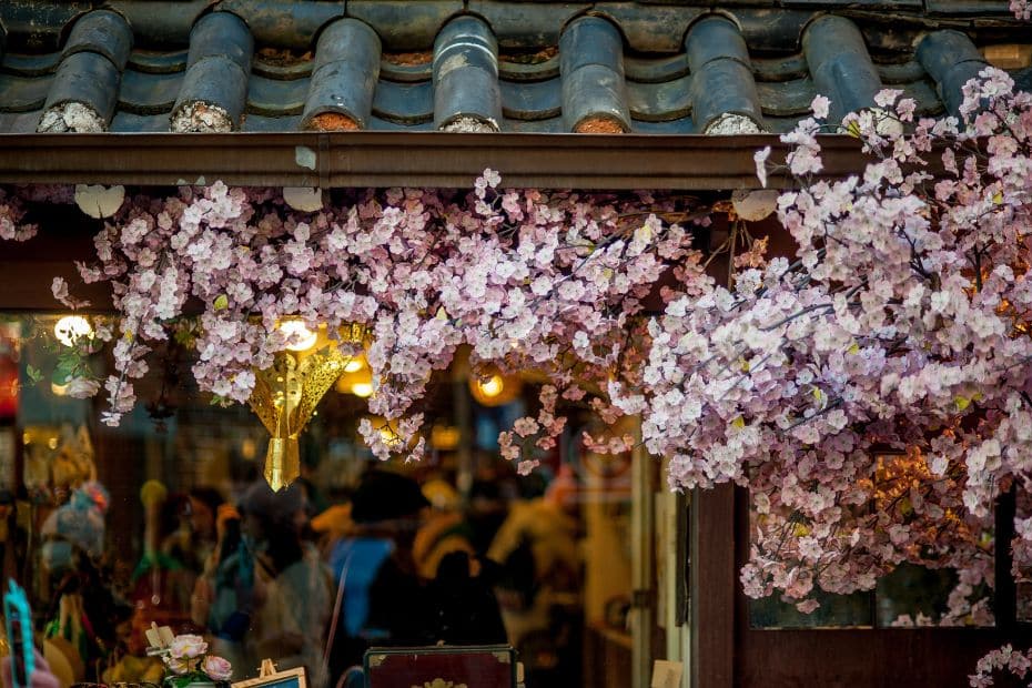 Cherry blossoms with traditional building in Korea