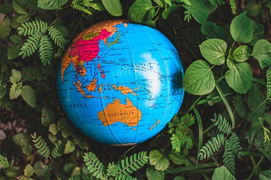 Inflatable globe among leaves